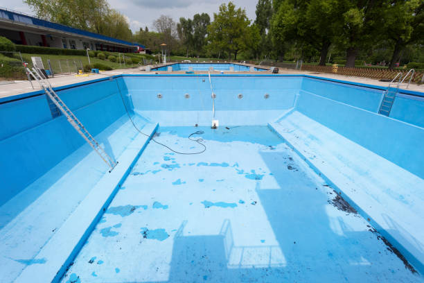 Best Flood damage cleanup  in Homewood, IL