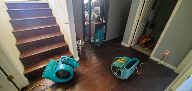 Best Emergency water damage restoration  in Homewood, IL