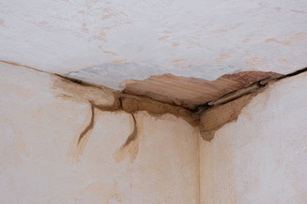 Best Basement water damage restoration  in Homewood, IL