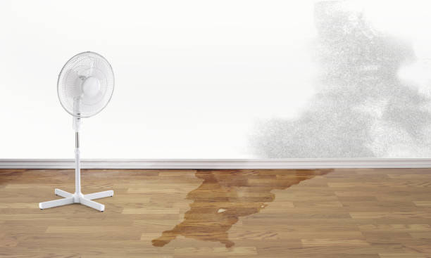 Professional Water damage restoration in Homewood, IL