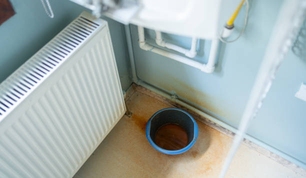Best 24/7 water damage repair  in Homewood, IL