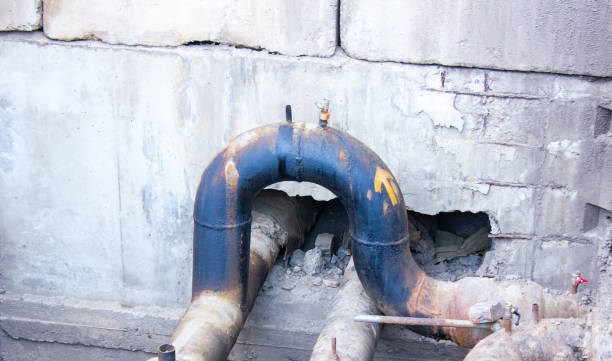 Best Water damage restoration near me  in Homewood, IL