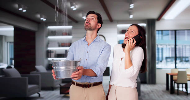 Best Basement water damage restoration  in Homewood, IL