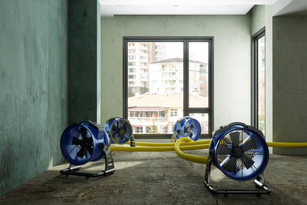 Best 24/7 water damage repair  in Homewood, IL