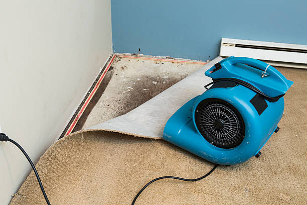 Best Water damage restoration near me  in Homewood, IL